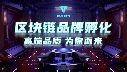 区块链项目包装秘籍：让技术之光照亮市场之路
