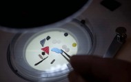 科学家在人类的精液和卵泡液中发现微塑料