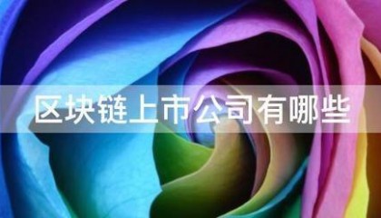 区块链上市公司有请器整名观首哪些
