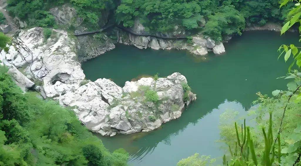 每周试玉（398）｜嘉宾【李明科 刘鲁宁 陈引奭 沈利斌】